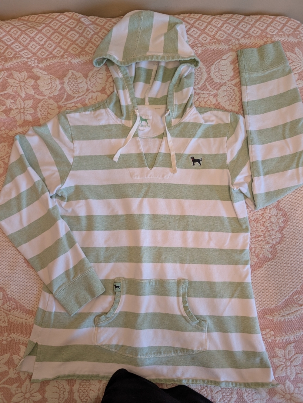The Black Dog Striped Hoodie in Mint Green and White